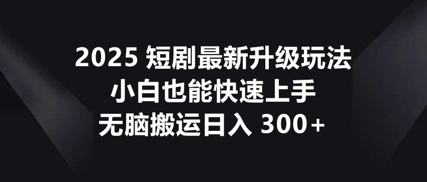 2025短剧最新升级玩法，小白也能快速上手，无脑搬运日入300+-空域资源网